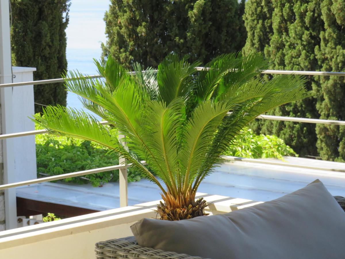 Villa King Dubrovnik Extérieur photo